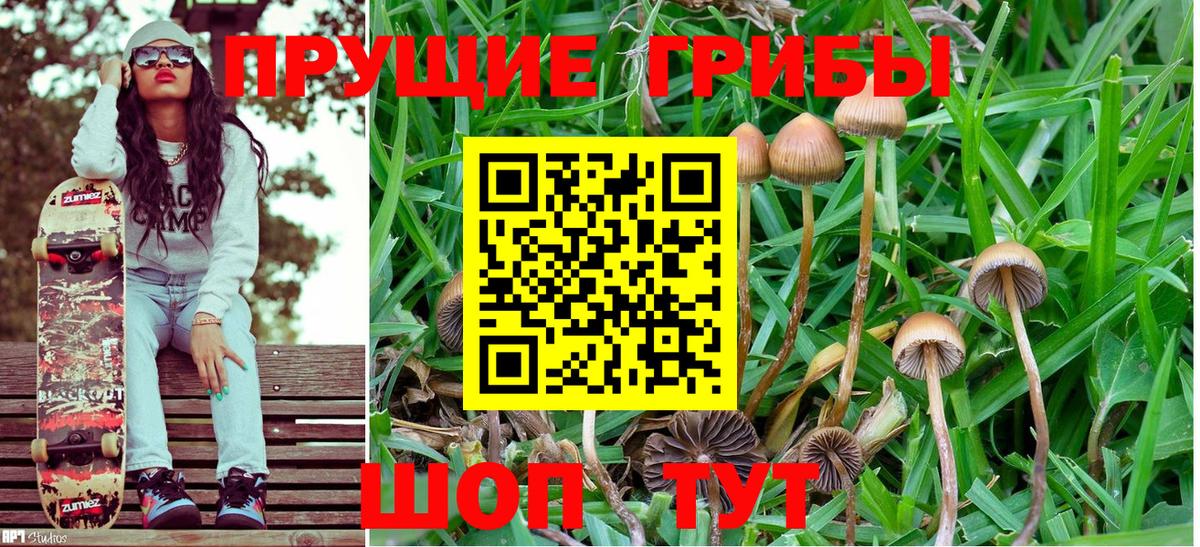 Псилоцибиновые грибы Magic Shrooms Шебекино